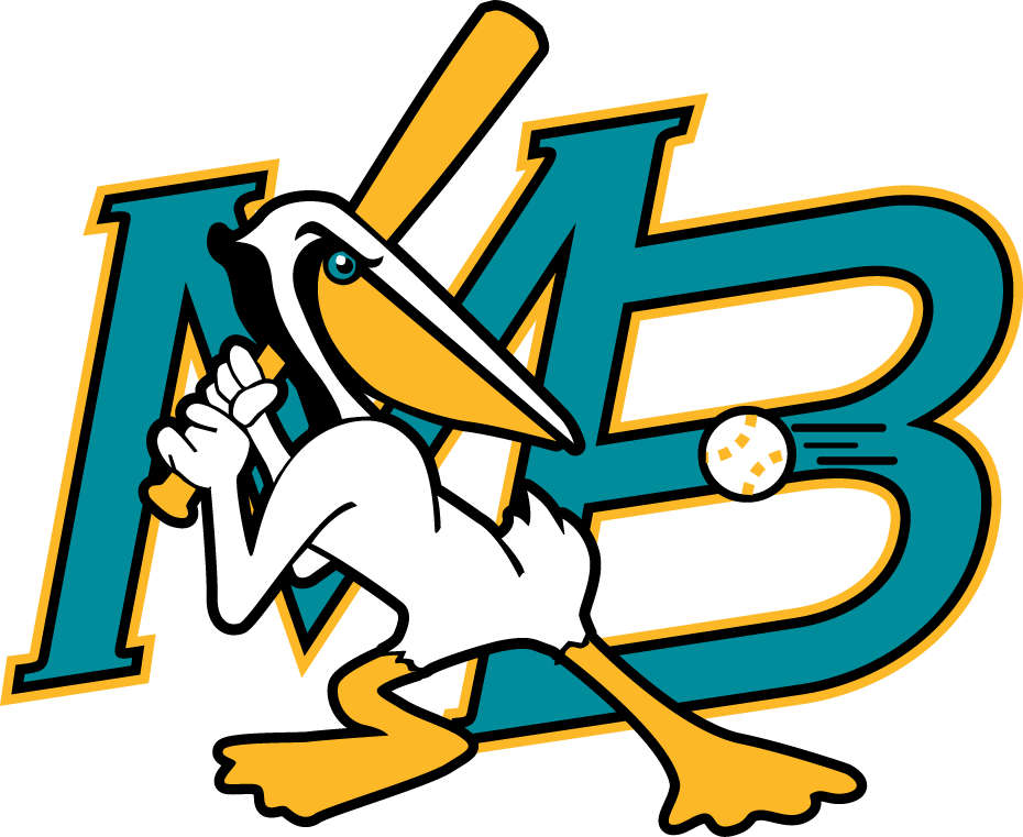 Myrtle Beach Pelicans 1999-2006 Primary Logo iron on transfers for clothing